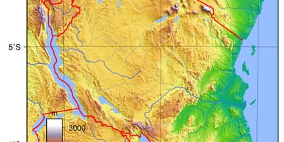 Tansaania topograafiline kaart